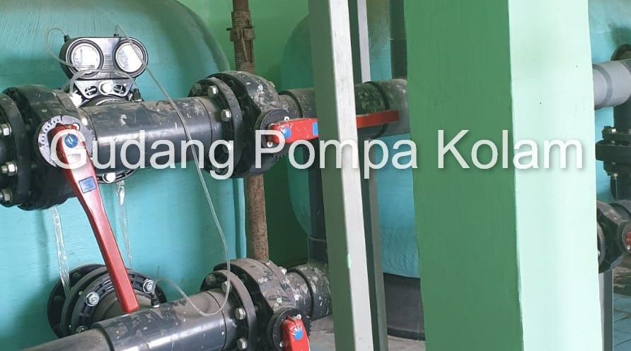 Kontraktor Kolam Renang Bebas Desain