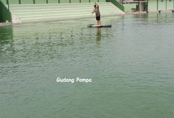 penyebab kolam renang berlumut