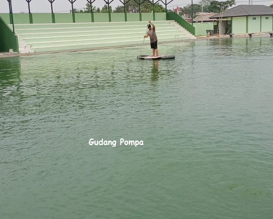 penyebab kolam renang berlumut