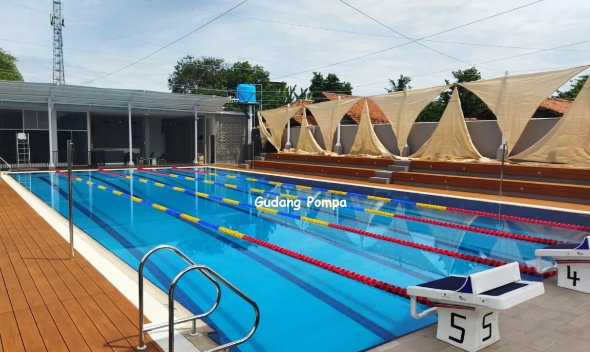 kolam renang olympic