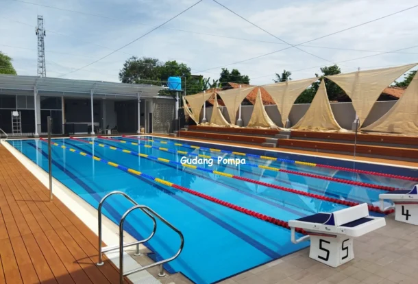 kolam renang olympic