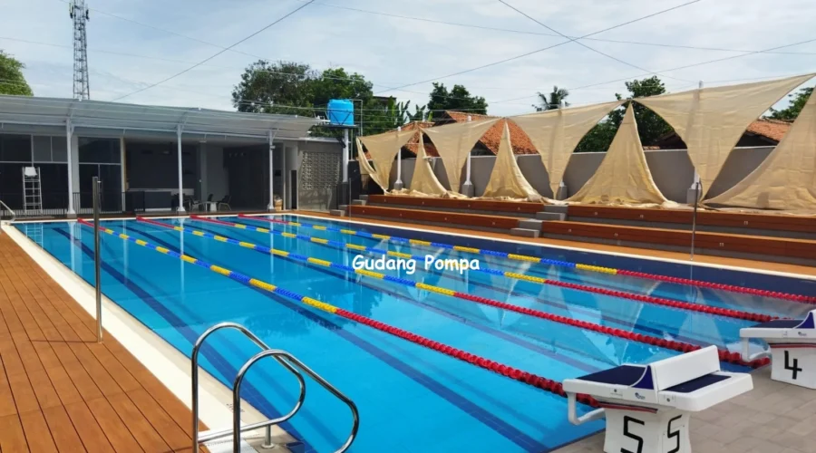 kolam renang olympic