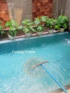 Ini Peran Vital Sikat untuk Kebersihan Kolam Renang