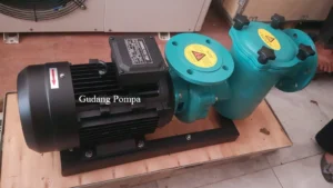 Kenapa Pompa Kolam Renang Penting