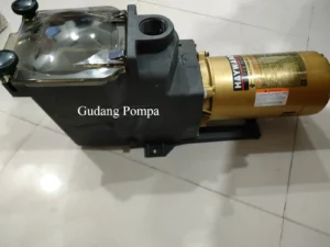 Pompa Kolam Renang Hayward Bekasi